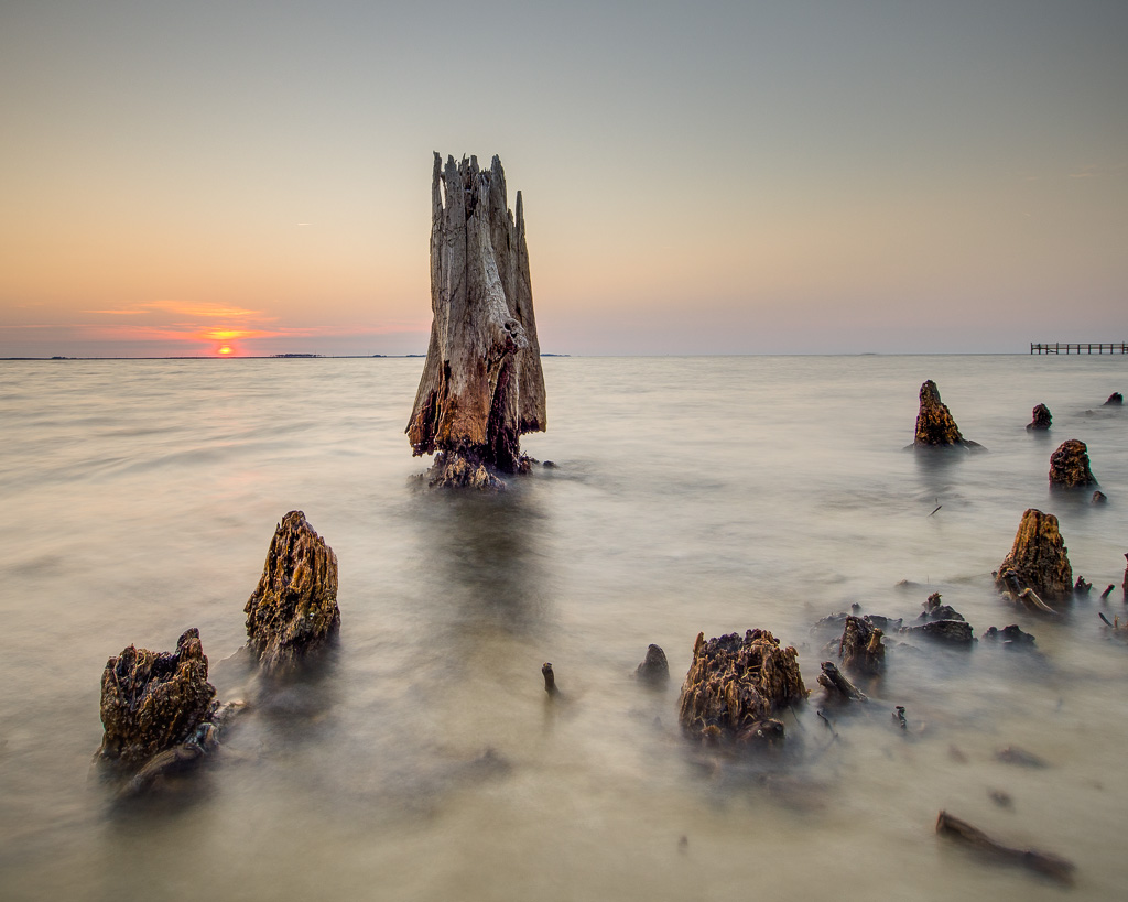 Sometimes ordinary things present in extraordinary ways -- like this ancient cypress stump and knees in Albemarle Sound on the north end of Roanoke island.